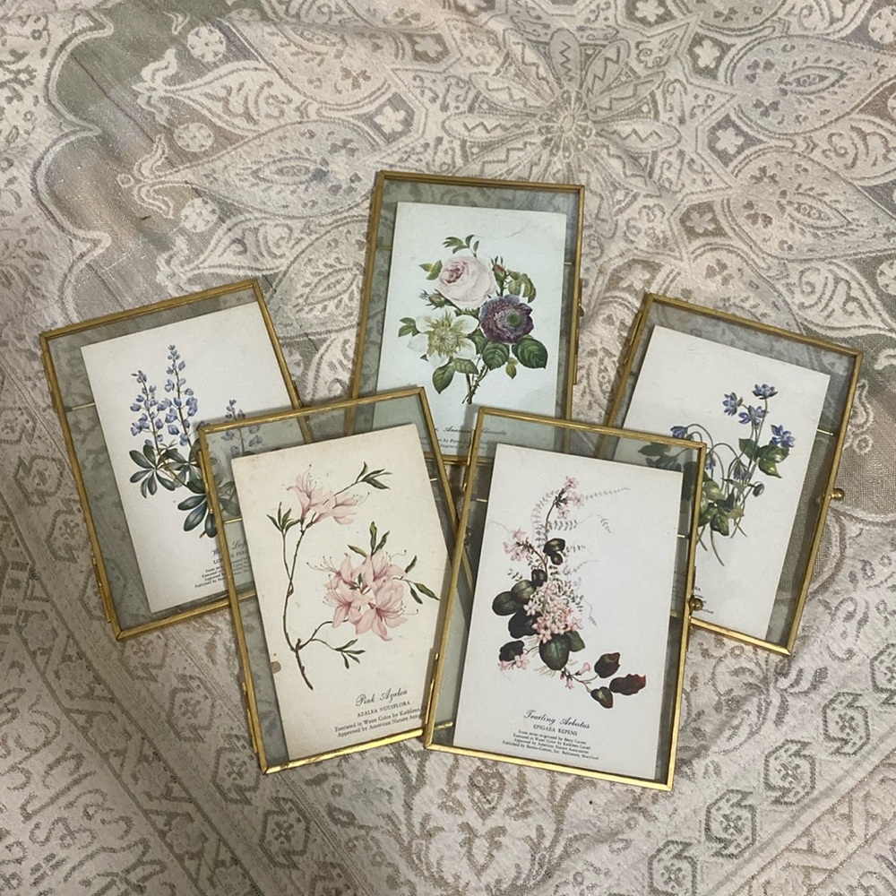 Vintage Framed Postcards
